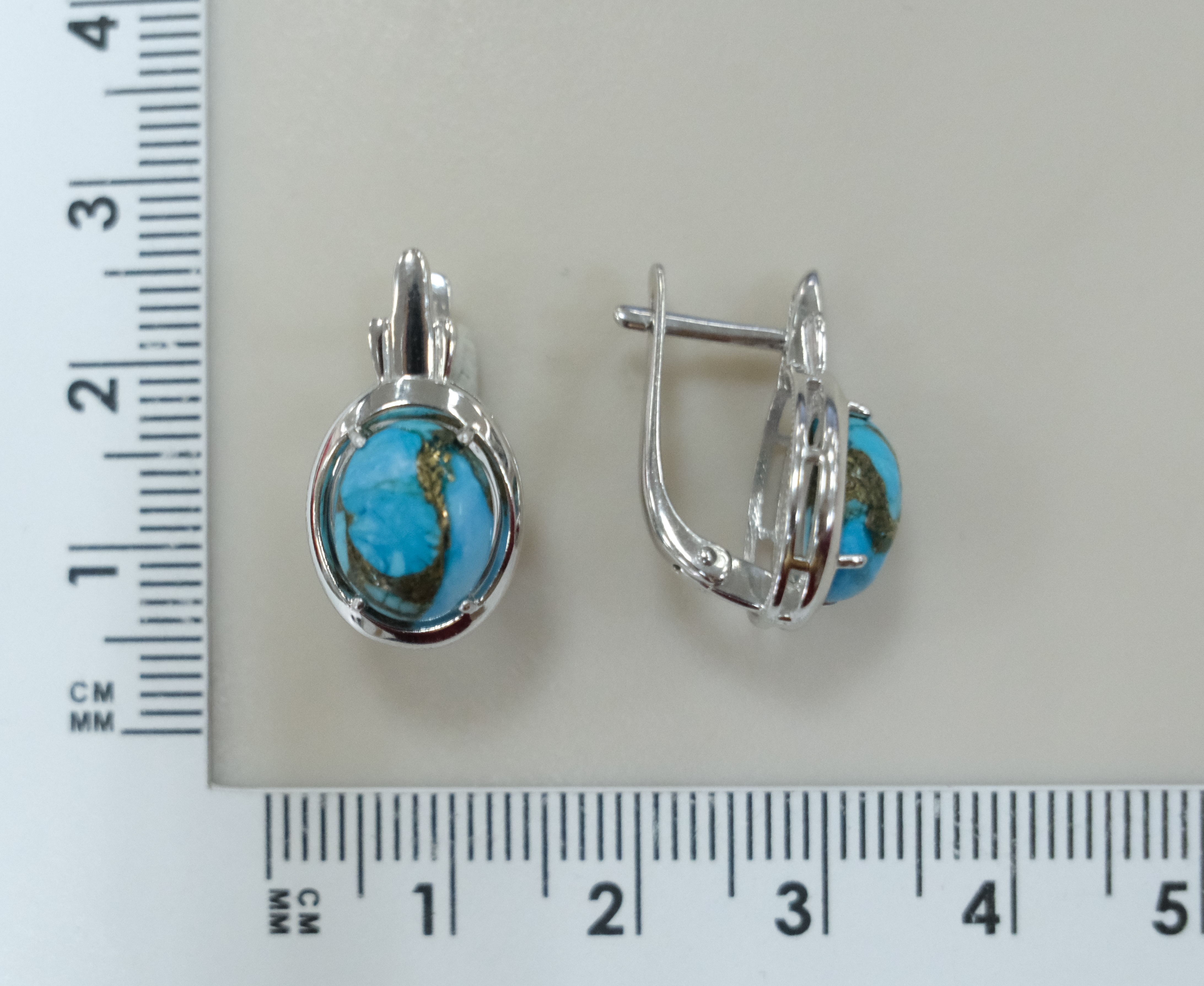 10522-005421 Серьги (Ag 925)